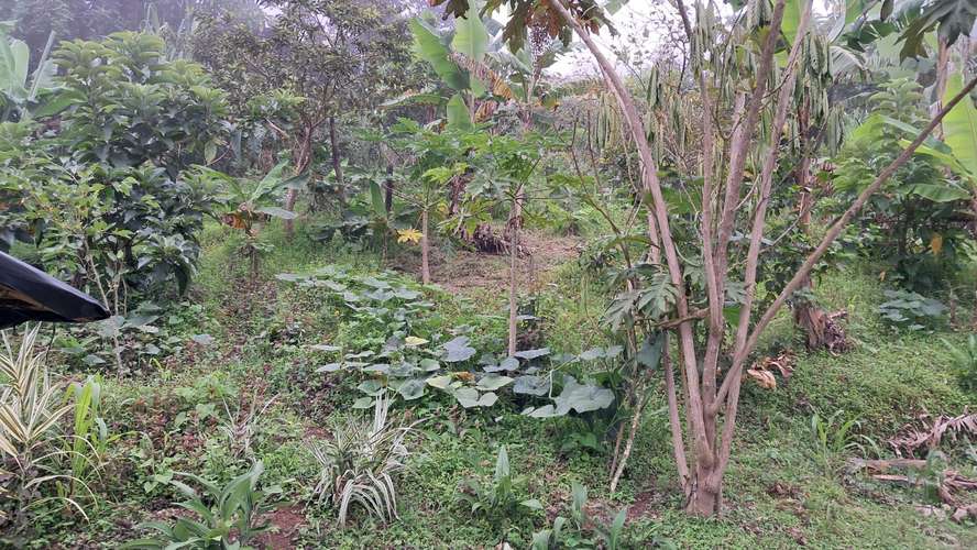 Venta de terreno  - Imagen 4