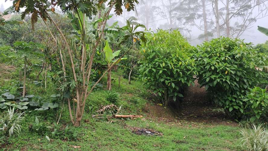 Venta de terreno  - Imagen 3
