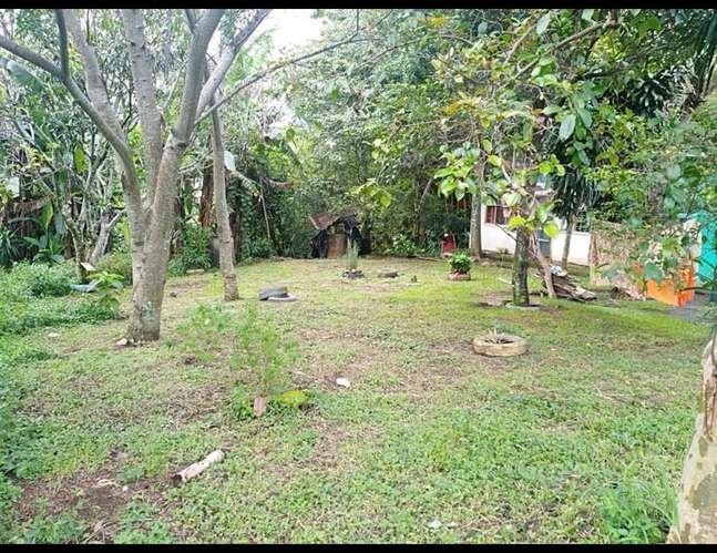 Lote comercial 2.282m² con 38m frente Alajuela - Imagen 4