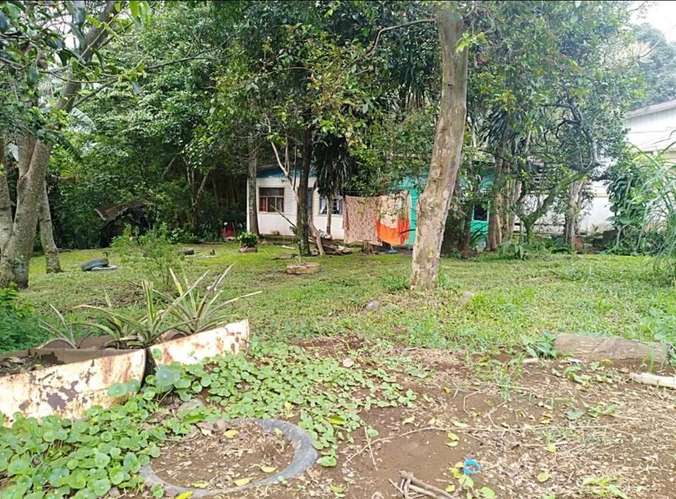 Lote comercial 2.282m² con 38m frente Alajuela - Imagen 2
