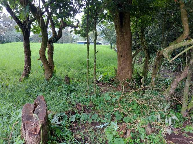 Venta de Finca Lechera en Tilarán, Guanacaste - Imagen 10