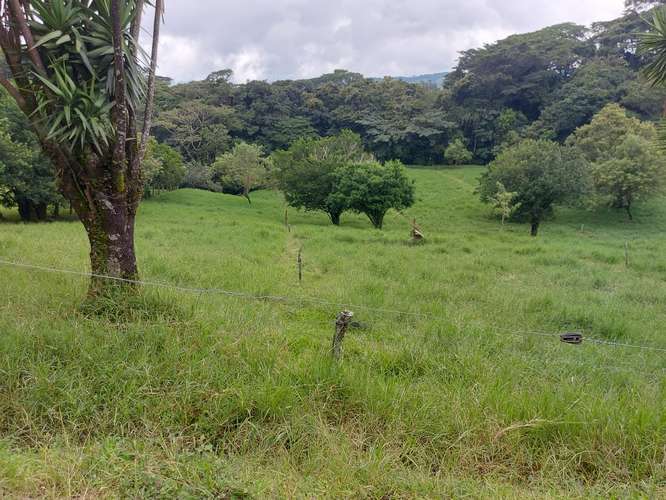 Venta de Finca Lechera en Tilarán, Guanacaste - Imagen 2