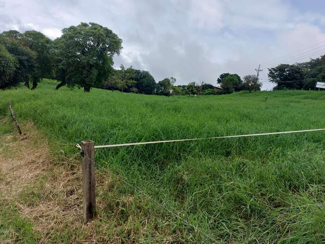 Venta de Finca Lechera en Tilarán, Guanacaste - Imagen 4