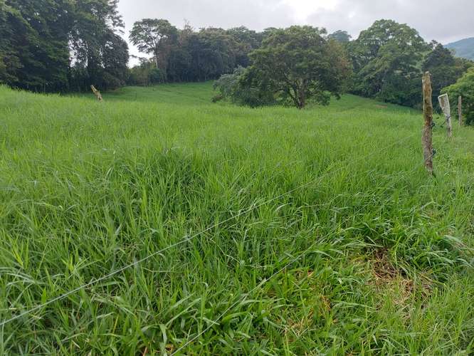 Venta de Finca Lechera en Tilarán, Guanacaste - Imagen 7