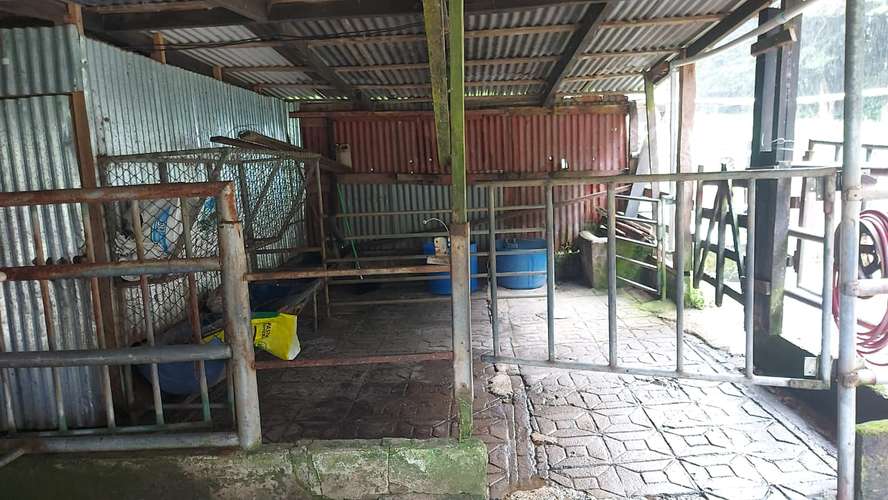 Venta de Finca Lechera en Tilarán, Guanacaste - Imagen 14