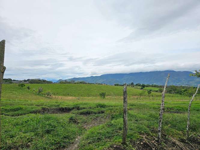 Finca lechera en producción a puerta cerrada, Paraíso de Cartago - Imagen 3