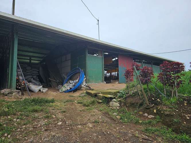 Finca lechera en producción a puerta cerrada, Paraíso de Cartago - Imagen 6