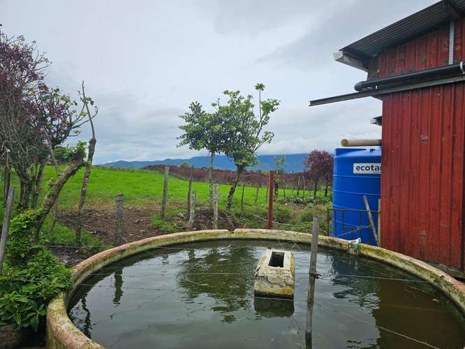 Finca lechera en producción a puerta cerrada, Paraíso de Cartago - Imagen 8