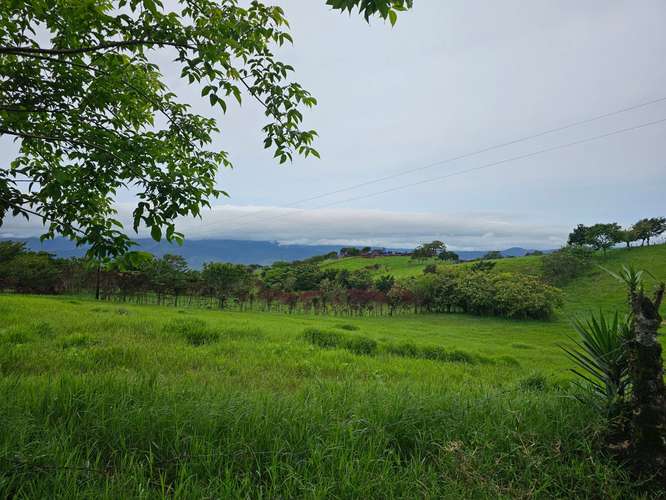 Finca lechera en producción a puerta cerrada, Paraíso de Cartago - Imagen 2