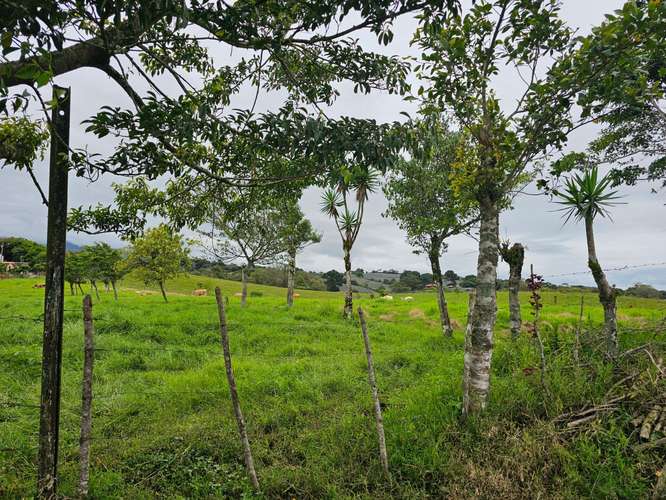 Finca lechera en producción a puerta cerrada, Paraíso de Cartago - Imagen 5