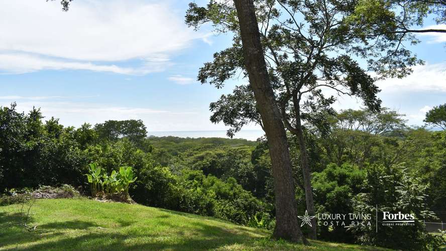 21567 - Lote plano con vistas al océano en Nativa Resort, Pacífico Central - Imagen 14