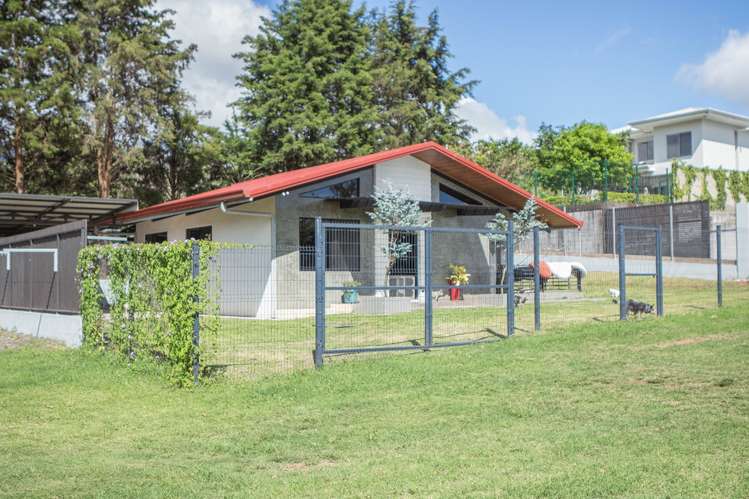 Casa moderna en San Isidro de Grecia con gran terreno y vistas naturales. - Imagen 2