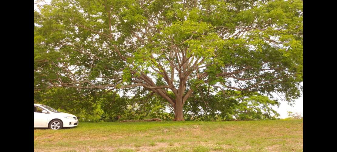 Vendo quinta 5.050 m2 en Residencial de Quintas Las Praderas del Pacifico, San Mateo Alajuela - Imagen 5