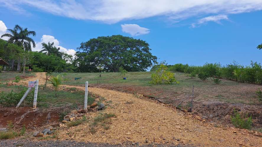 Vendo quinta 5.050 m2 en Residencial de Quintas Las Praderas del Pacifico, San Mateo Alajuela - Imagen 12