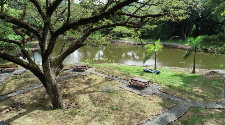 Vendo quinta 5.050 m2 en Residencial de Quintas Las Praderas del Pacifico, San Mateo Alajuela - Imagen 20