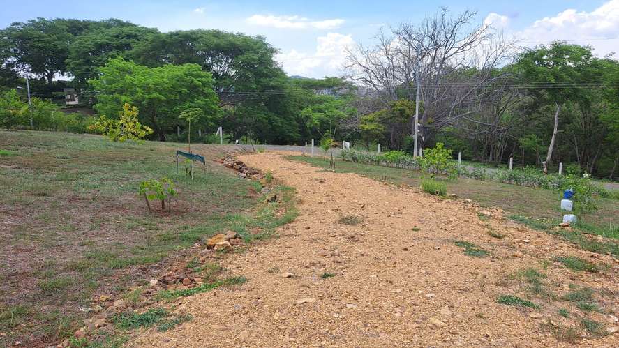 Vendo quinta 5.050 m2 en Residencial de Quintas Las Praderas del Pacifico, San Mateo Alajuela - Imagen 9