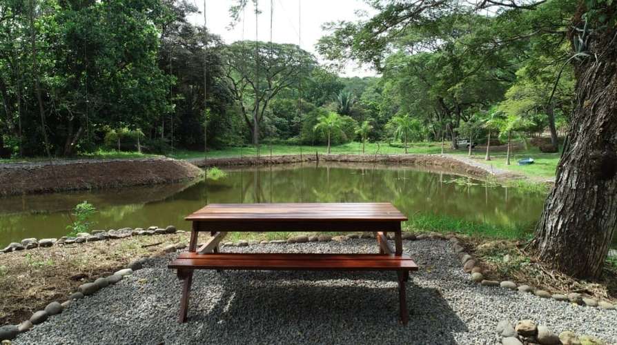 Vendo quinta 5.050 m2 en Residencial de Quintas Las Praderas del Pacifico, San Mateo Alajuela - Imagen 16