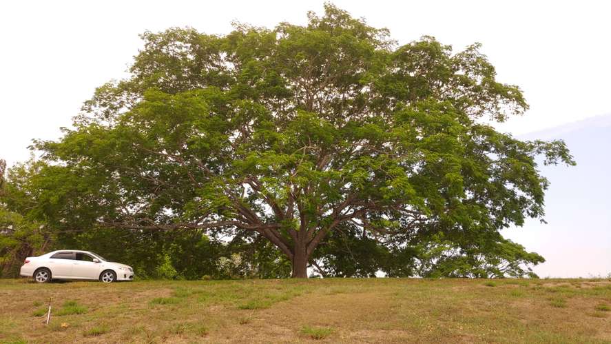 Vendo quinta 5.050 m2 en Residencial de Quintas Las Praderas del Pacifico, San Mateo Alajuela - Imagen 14