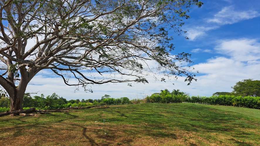 Vendo quinta 5.050 m2 en Residencial de Quintas Las Praderas del Pacifico, San Mateo Alajuela - Imagen 2