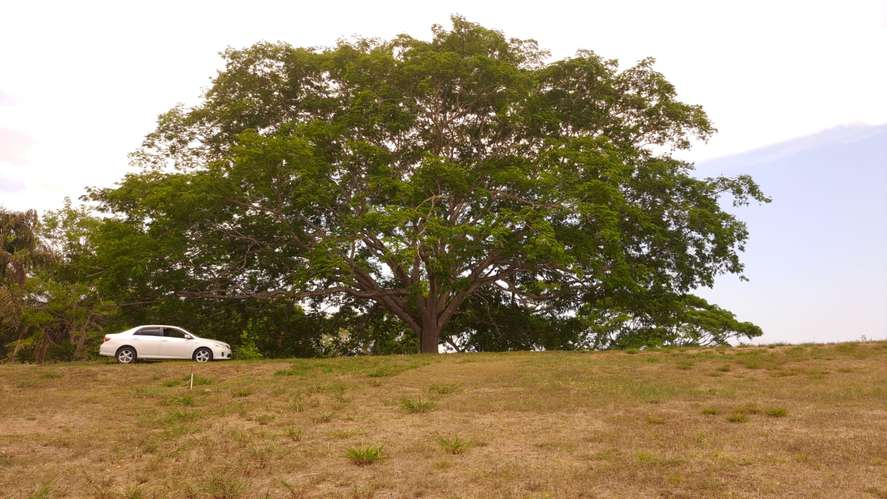 Vendo quinta 5.050 m2 en Residencial de Quintas Las Praderas del Pacifico, San Mateo Alajuela - Imagen 8