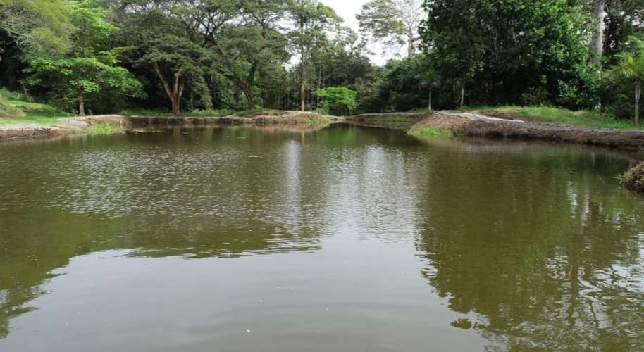 Vendo quinta 5.050 m2 en Residencial de Quintas Las Praderas del Pacifico, San Mateo Alajuela - Imagen 19