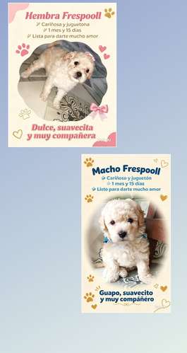 Se venden Frespooll - Imagen 3