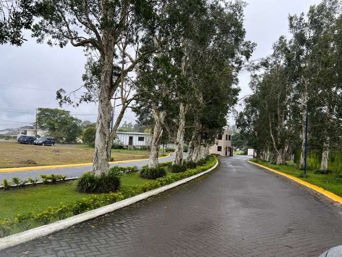 Venta de lote en Condominio Los Lagos, invierta en espacio, privacidad a su gusto  - Imagen 17