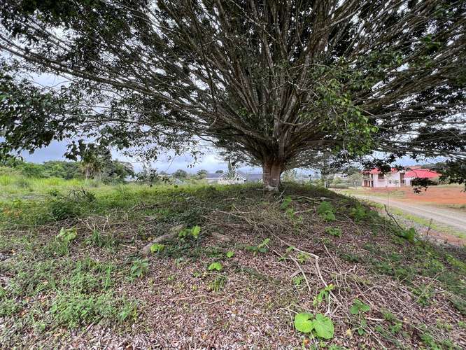 Venta de lote en Condominio Los Lagos, invierta en espacio, privacidad a su gusto  - Imagen 5