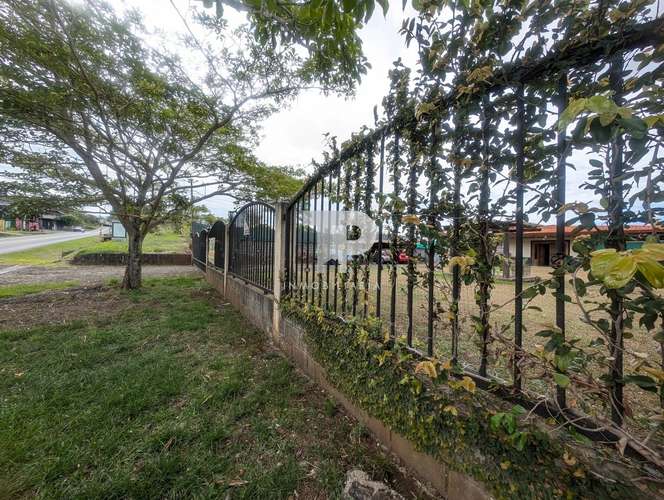 SE VENDE LOTE SAN PABLO HEREDIA SCG31 - Imagen 3