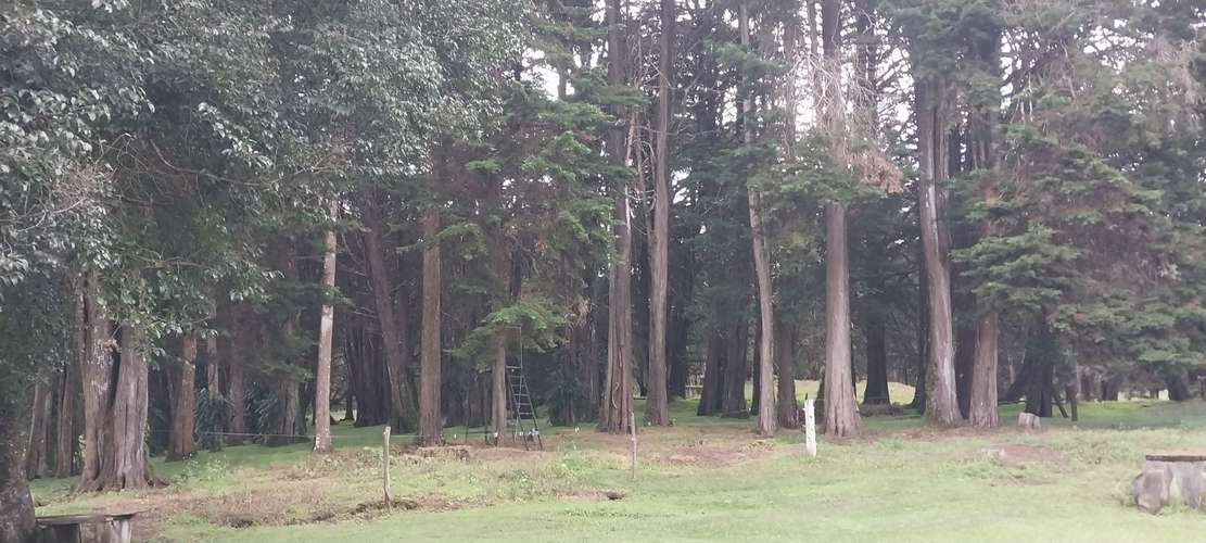 Hermosa finca en Los Angeles de San Rafael de Heredia 10.4 hectareas - Imagen 19