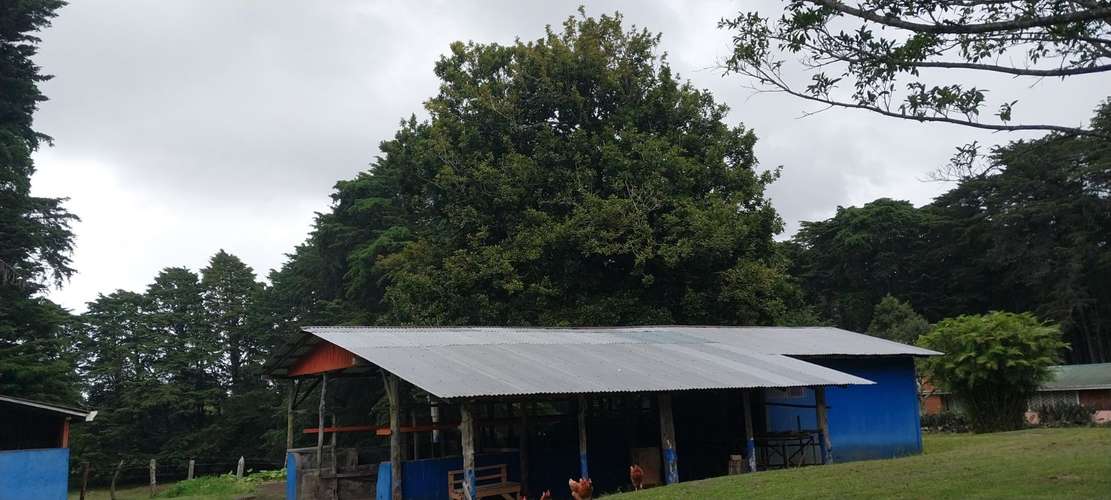 Hermosa finca en Los Angeles de San Rafael de Heredia 10.4 hectareas - Imagen 14
