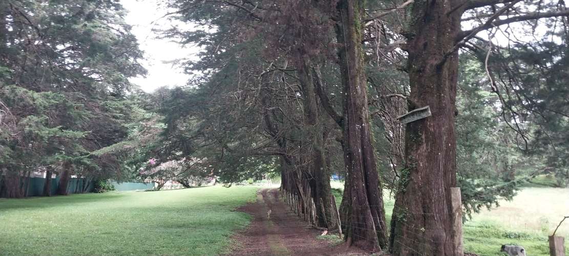 Hermosa finca en Los Angeles de San Rafael de Heredia 10.4 hectareas - Imagen 7