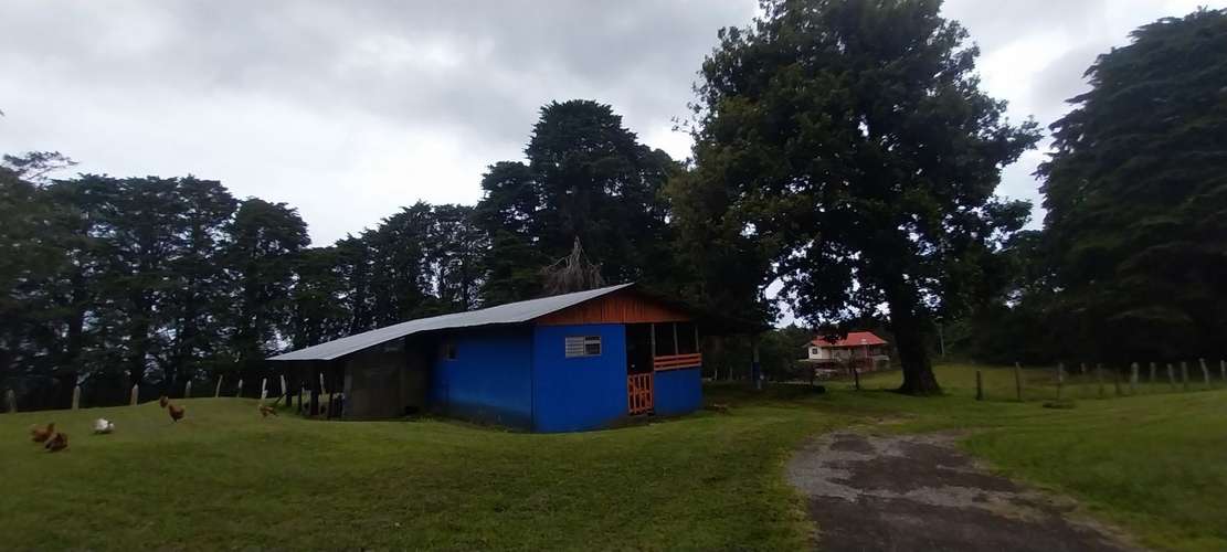 Hermosa finca en Los Angeles de San Rafael de Heredia 10.4 hectareas - Imagen 12
