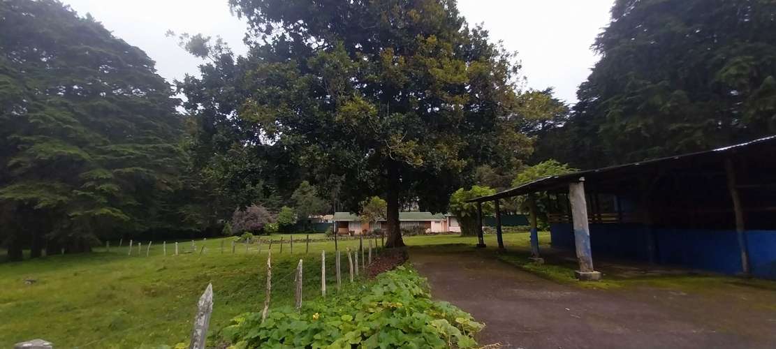 Hermosa finca en Los Angeles de San Rafael de Heredia 10.4 hectareas - Imagen 16