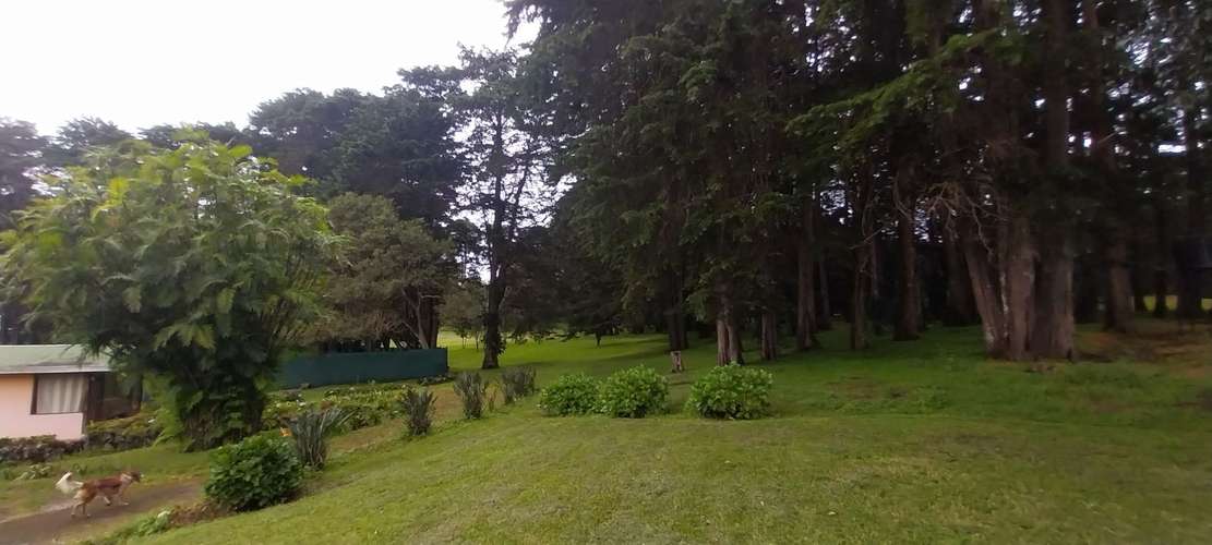 Hermosa finca en Los Angeles de San Rafael de Heredia 10.4 hectareas - Imagen 10