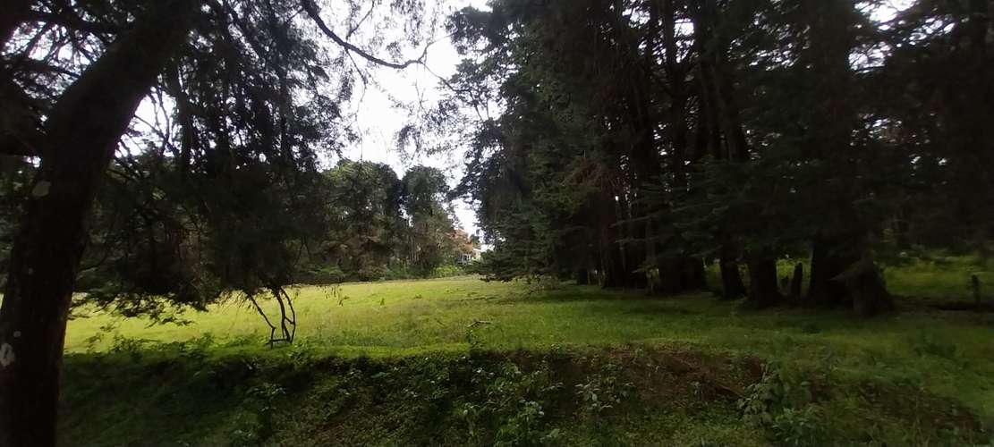 Hermosa finca en Los Angeles de San Rafael de Heredia 10.4 hectareas - Imagen 4