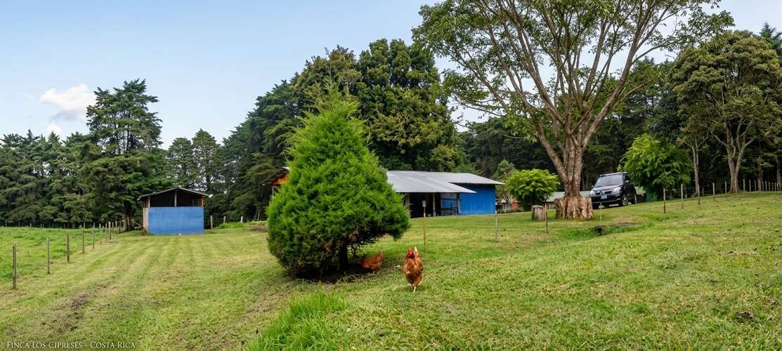Hermosa finca en Los Angeles de San Rafael de Heredia 10.4 hectareas - Imagen 13