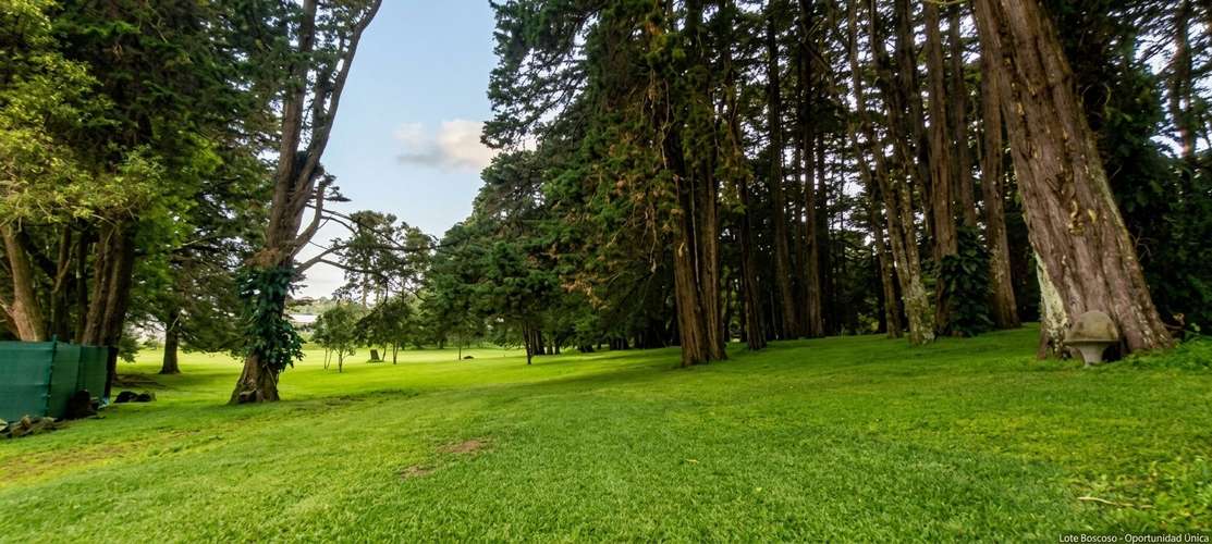 Hermosa finca en Los Angeles de San Rafael de Heredia 10.4 hectareas - Imagen 8