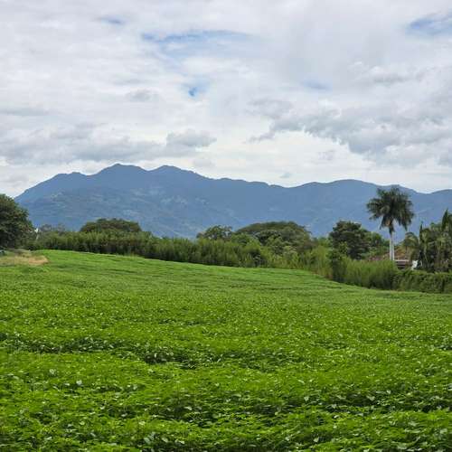 VENDO LOTE EN SAN RAFAEL DE ALAJUELA. USO DE SUELO MIXTO - Imagen 3