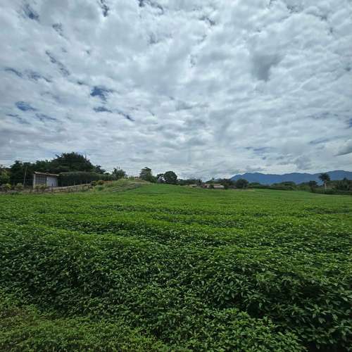 VENDO LOTE EN SAN RAFAEL DE ALAJUELA. USO DE SUELO MIXTO - Imagen 6