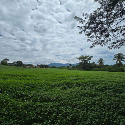 VENDO LOTE EN SAN RAFAEL DE ALAJUELA. USO DE SUELO MIXTO - Imagen 8