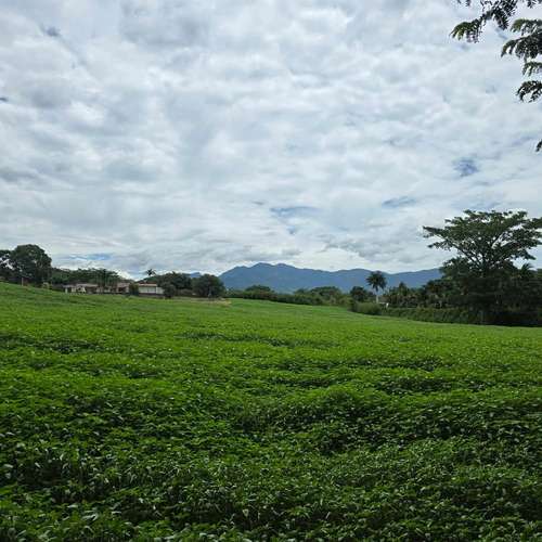 VENDO LOTE EN SAN RAFAEL DE ALAJUELA. USO DE SUELO MIXTO - Imagen 2