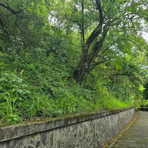 VENDO LOTE EN SANTA ANA. NEGOCIABLE - Imagen 11