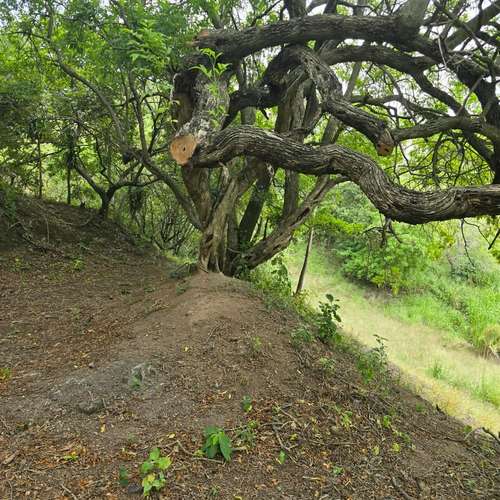 VENDO LOTE EN SANTA ANA. NEGOCIABLE - Imagen 18