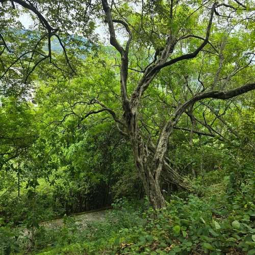 VENDO LOTE EN SANTA ANA. NEGOCIABLE - Imagen 15