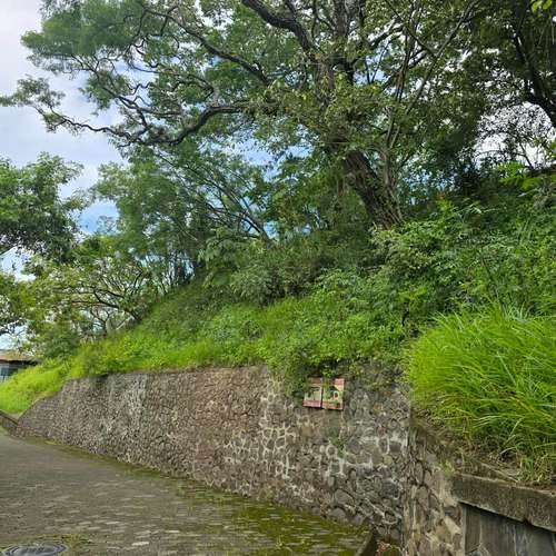 VENDO LOTE EN SANTA ANA. NEGOCIABLE - Imagen 12