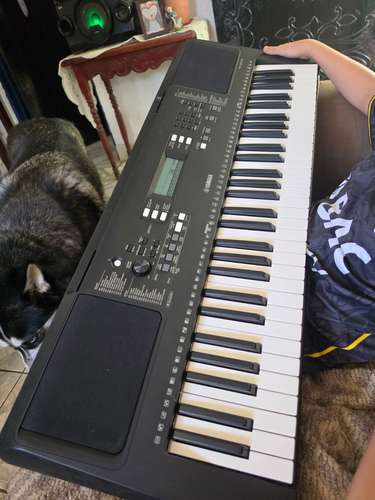 Teclado Yamaha, SR-E373