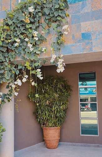 CONSULTORIO U OFICINA MODERNA EN GUADALUPE. EXC UBICACIÓN EN PRESTIGIOSA CLÍNICA.  LISTO PARA OCUPAR. - Imagen 3