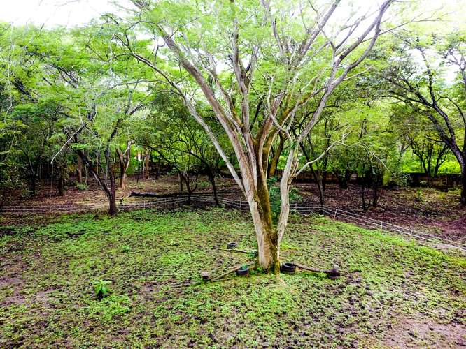 Lote de 11,832 m² con Agua y Electricidad – A Pasos de Playa Conchal y Puerto Viejo - Imagen 6