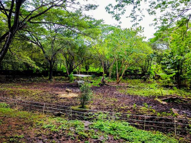 Lote de 11,832 m² con Agua y Electricidad – A Pasos de Playa Conchal y Puerto Viejo - Imagen 10